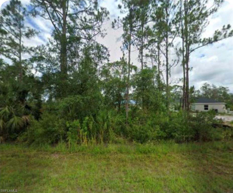 Land in LEHIGH ACRES