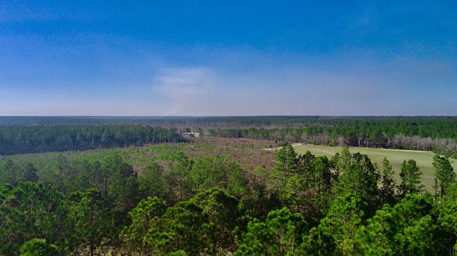 000 Three Notch Rd, Home with 0 bedrooms, 0 bathrooms and null parking in Monetta SC | Image 4