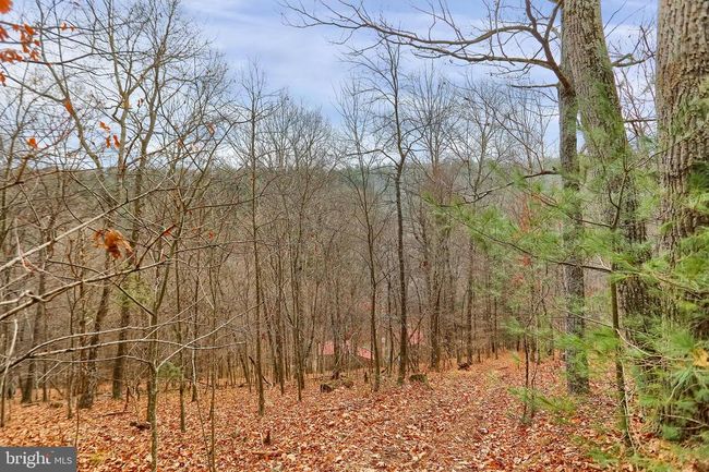 1245 Thompson Hollow Ln, House other with 3 bedrooms, 2 bathrooms and null parking in HONEY GROVE PA | Image 62