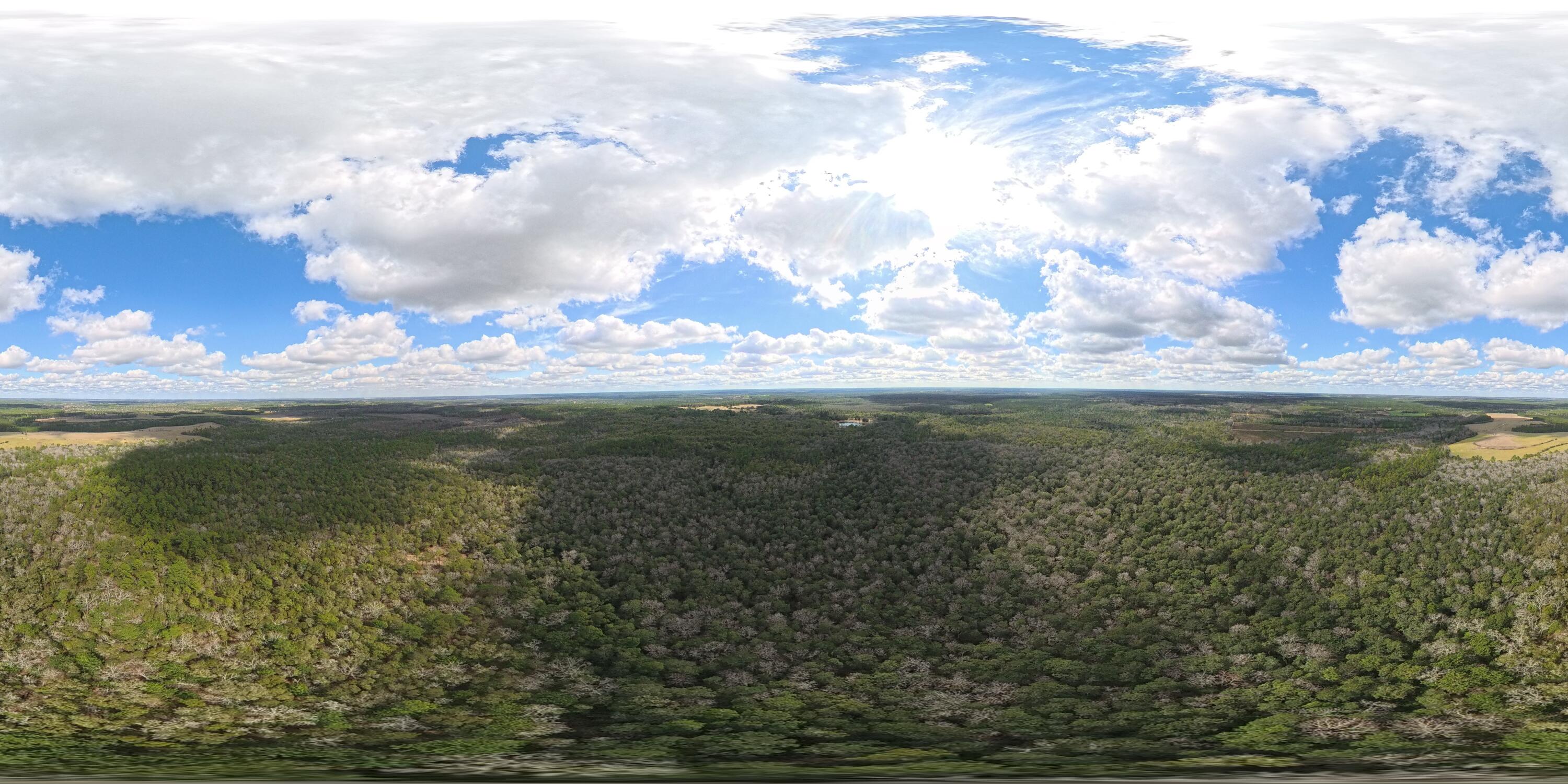 Land in DeFuniak Springs 5