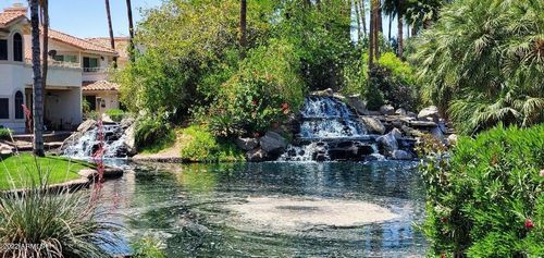 517 S Marina Dr, Gilbert, AZ, 85233-6609 | Card Image