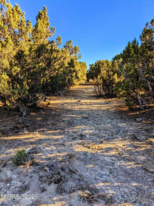 0 Twelvemile Cyn, Montello, NV, 89830 | Card Image