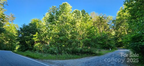74-0 Buffalo Creek Rd, Lake Lure, NC, 28746 | Card Image