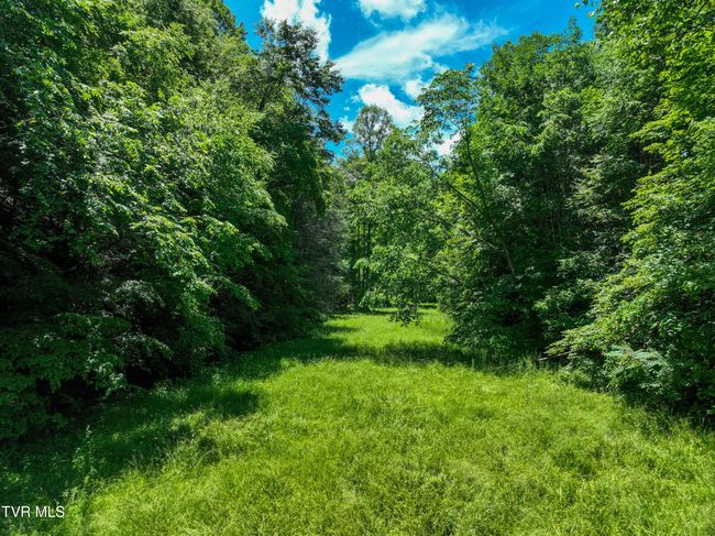 24483 Cave Creek Rd, House other with 5 bedrooms, 3 bathrooms and null parking in Abingdon VA | Image 94
