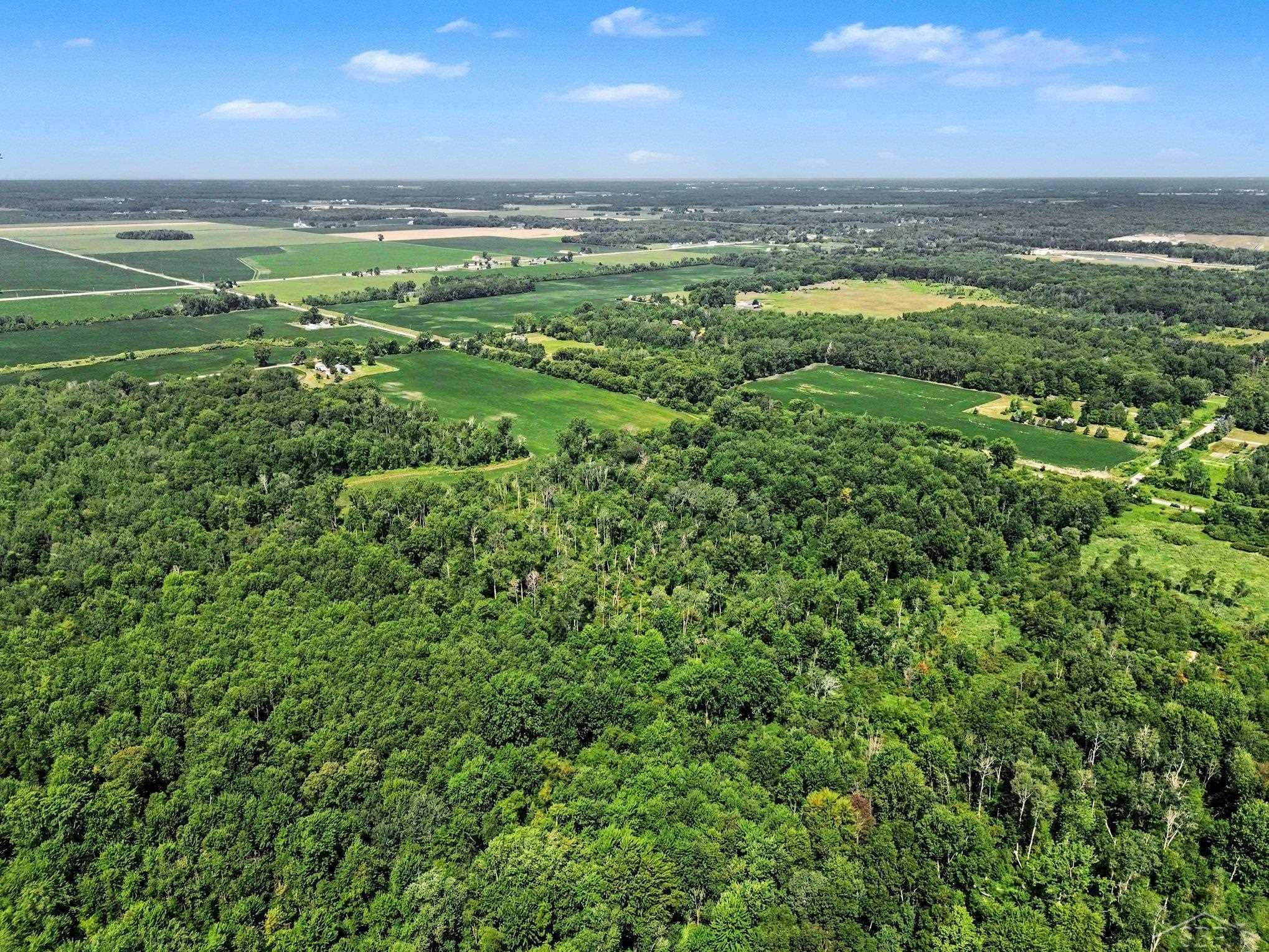 Land in Pinconning Township 5