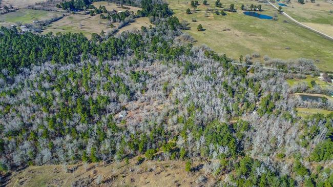 35 Old Sign Rd, Home with 1 bedrooms, 1 bathrooms and null parking in Midway TX | Image 20