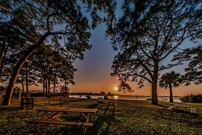 APT-1206 - 2700 Bayshore Blvd, Condo with 2 bedrooms, 1 bathrooms and null parking in DUNEDIN FL | Image 12