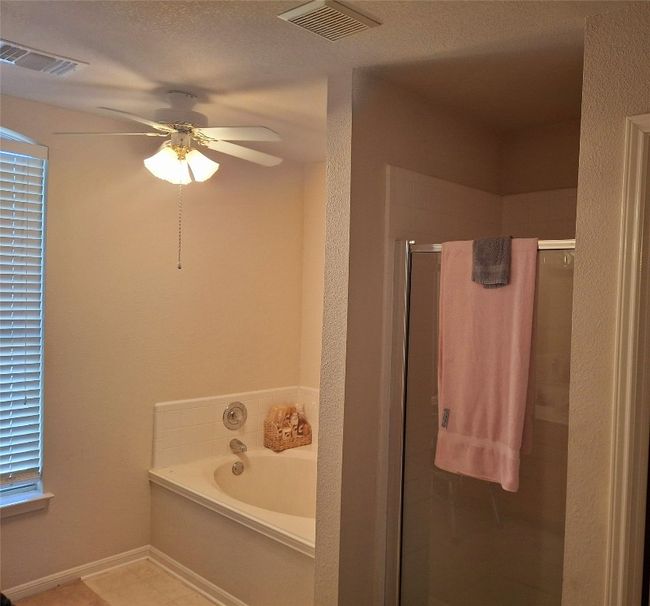 garden tub with a separate shower, double closets visible vents, a ceiling fan, and marble sinks | Image 11