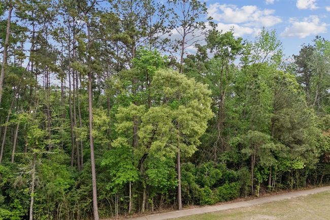 27318 Whispering Maple Way, Home with 0 bedrooms, 0 bathrooms and null parking in Spring TX | Image 13