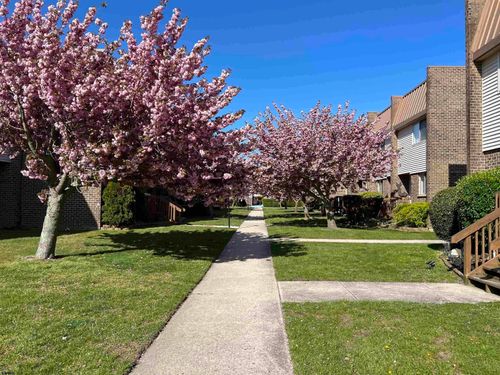 1404-803 B Dudley Ct, Ventnor, NJ, 08406 | Card Image