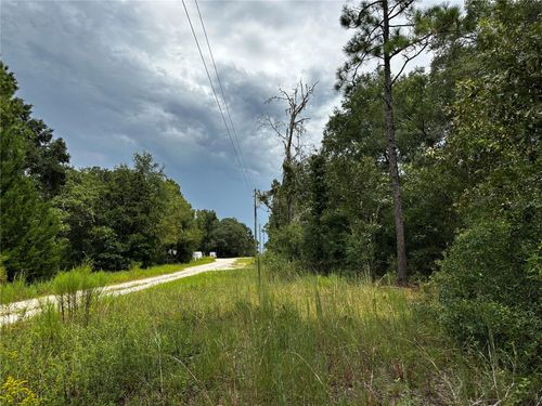 0000 Ne 155th Ct, Williston, FL, 32696 | Card Image