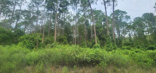 220 Se 2nd St, Georgetown, FL, 32139-2728 | Card Image