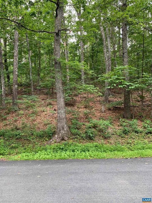 32 Chestnut Ln, WINTERGREEN, VA, 22958 | Card Image