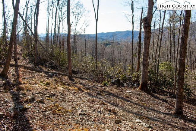 21 Mitchell Watch Drive, Home with 0 bedrooms, 0 bathrooms and null parking in Spruce Pine NC | Image 11