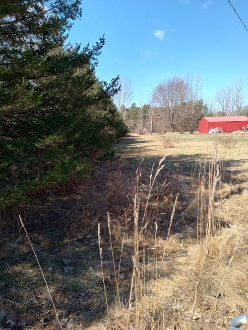 2011 Blackmore Rd, Mayville, MI, 48744-9656 | Card Image
