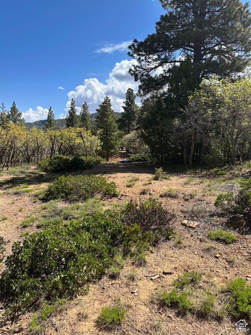 33-33 Bonnie Green Dr, Alton, UT, 84710 | Card Image