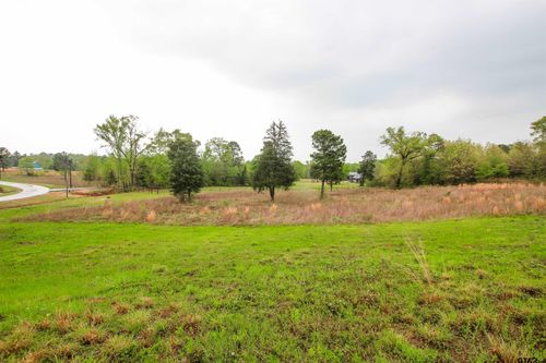 TBD (Lot 35&amp;36) Creek Bottom Ct, Winona, TX, 75792 | Card Image