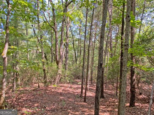 10.59AC T S Jarrard Road, Dahlonega, GA, 30533 | Card Image
