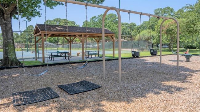 Swings for all ages. | Image 30
