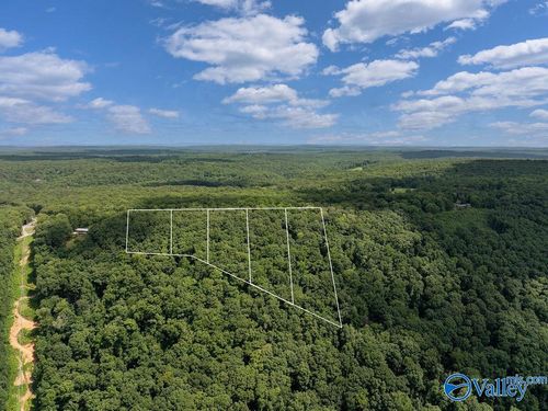 LOT 5 County Road 89, Mentone, AL, 35984-2347 | Card Image