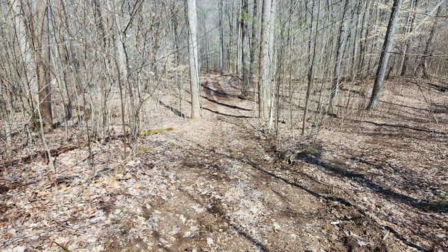 TRACT-1-PIKE-LAKE-GETAWA - 0 Pike Lake Rd, Home with 0 bedrooms, 0 bathrooms and null parking in Bainbridge OH | Image 23