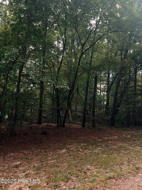 61 Palomino Rd, Carthage, NC, 28327-7428 | Card Image