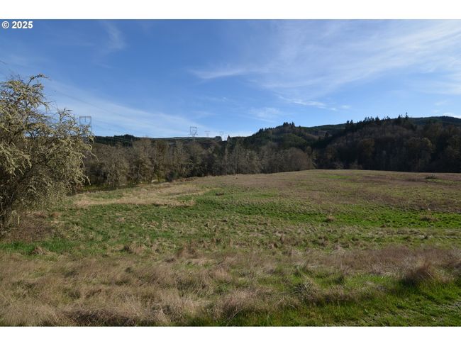 1397 State Route 506, House other with 4 bedrooms, 3 bathrooms and 4 parking in Vader WA | Image 38