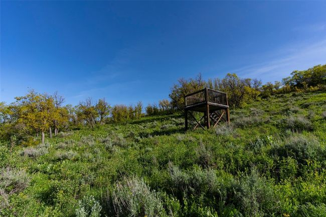 View Stand | Image 11