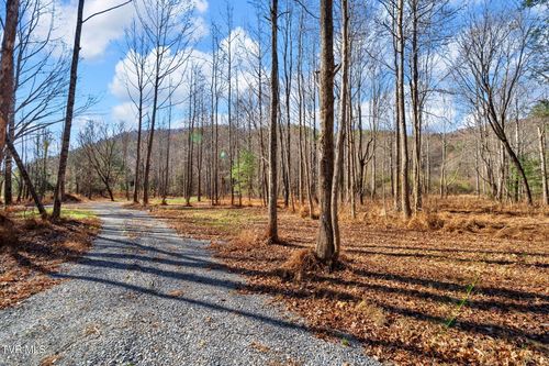 Tbd Mcinturff Springs Rd, Erwin, TN, 37650 | Card Image