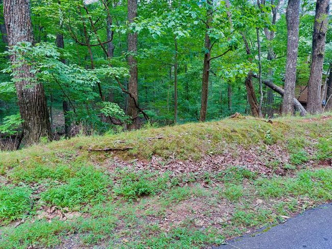 3238 Coffey Cove Dr, Home with 0 bedrooms, 0 bathrooms and null parking in Jasper GA | Image 7