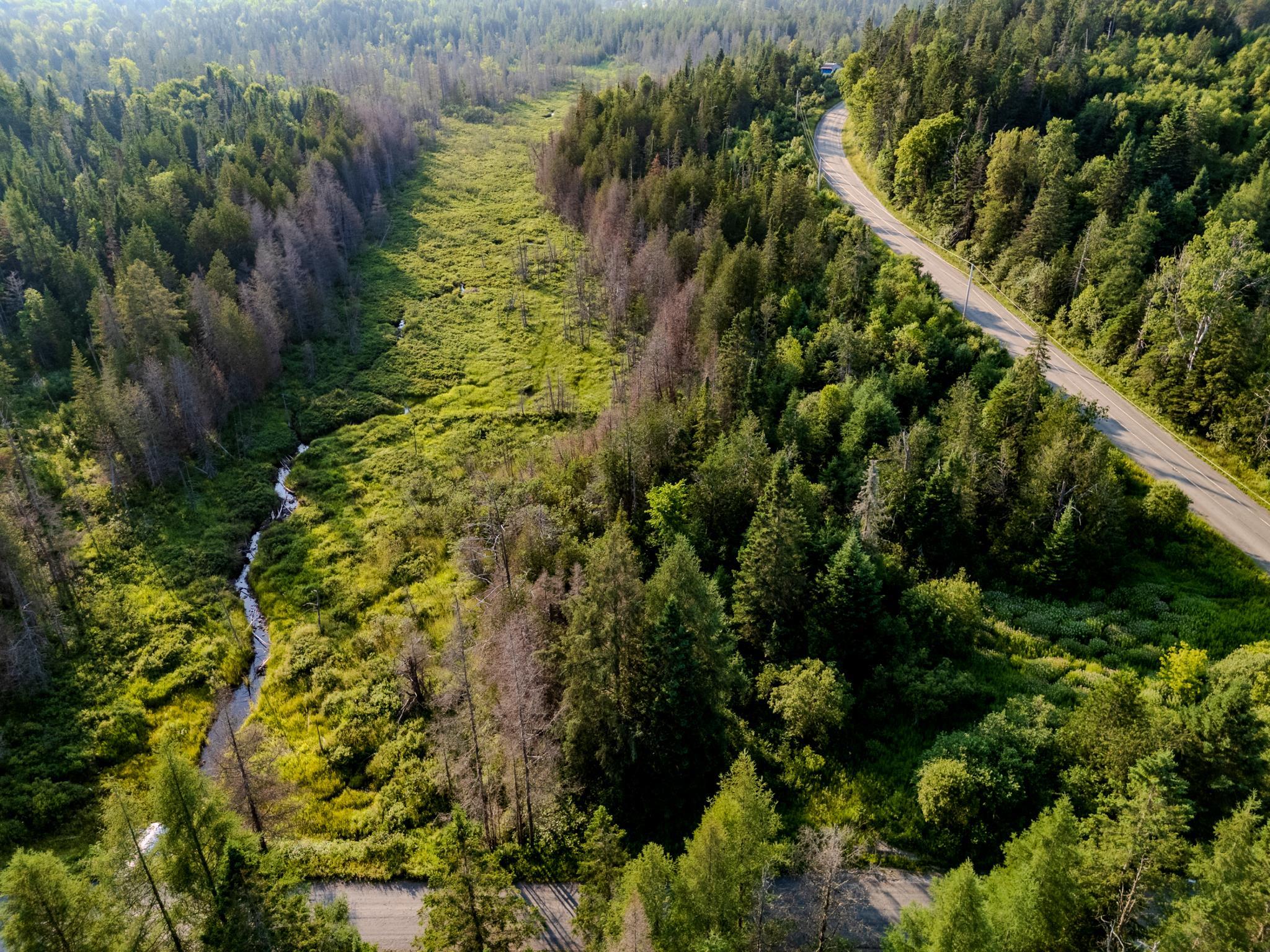 Land in Walden 2