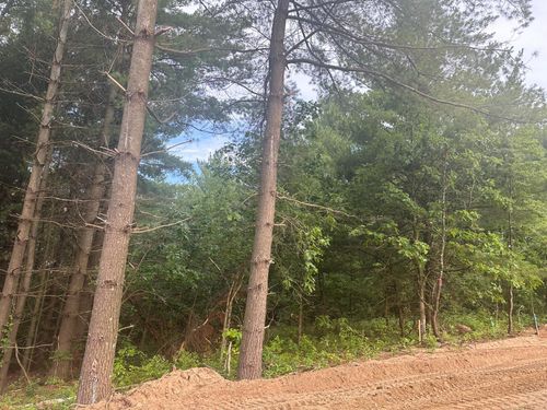 9 Brummer Drive, Randall, MN, 56475 | Card Image