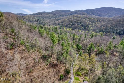 155 Tower Rd, Roan Mountain, TN, 37687-3831 | Card Image