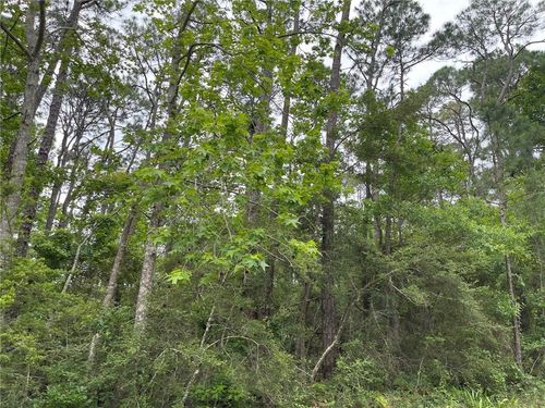 1105 Alabama Ave, Dauphin Island, AL, 36528-4383 | Card Image