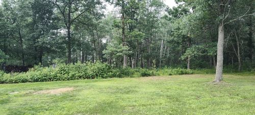 TBD E Blueberry River Dr, Menahga, MN, 56464 | Card Image