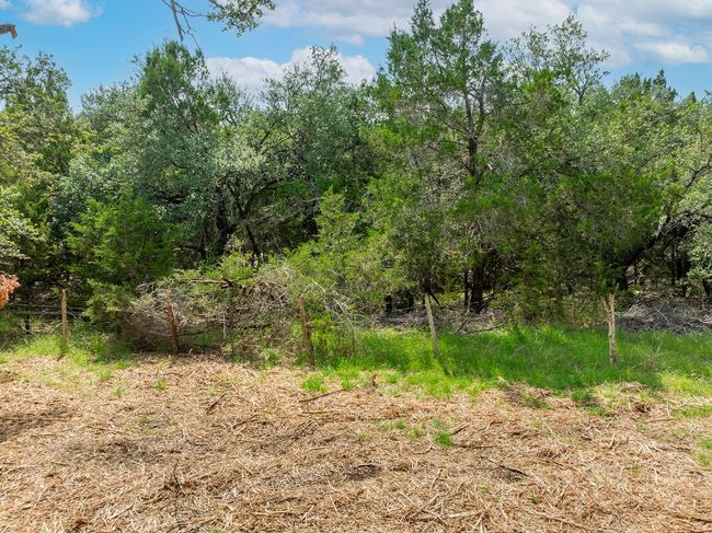 View of undeveloped land | Image 16
