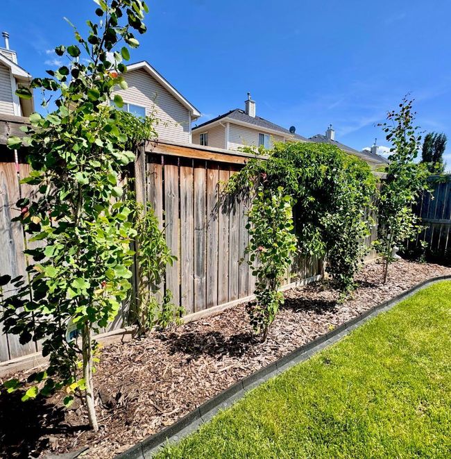 83 Cranwell Common Se, House other with 3 bedrooms, 3 bathrooms and 4 parking in Calgary AB | Image 24