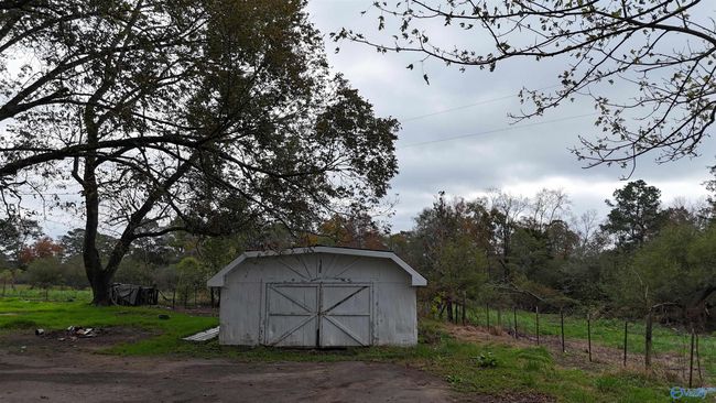 755 4 acres Hammonds Rd, House other with 4 bedrooms, 2 bathrooms and null parking in Fyffe AL | Image 14