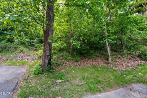 123124 Alpine Mountain Way, Pigeon Forge, TN, 37863 | Card Image
