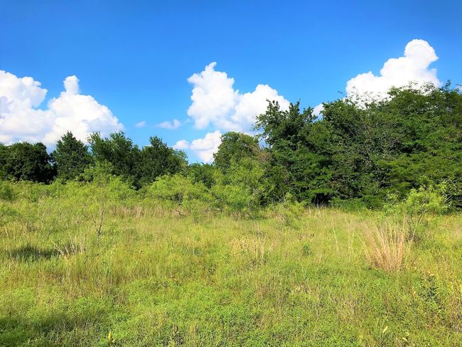 182 Hcr 3352, Home with 0 bedrooms, 0 bathrooms and null parking in Hubbard TX | Image 33