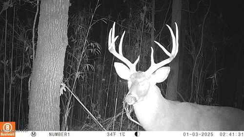 35 Ac. Church Dr, Grenada, MS, 38901 | Card Image
