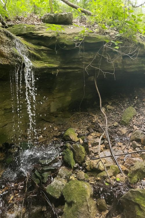 000 State Highway Z, Falcon, MO, 65470 | Card Image