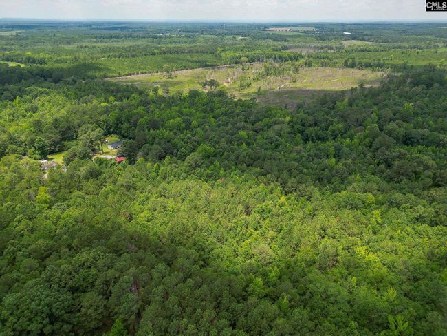 0 Mcdaniel Rd, Home with 0 bedrooms, 0 bathrooms and null parking in Rembert SC | Image 11