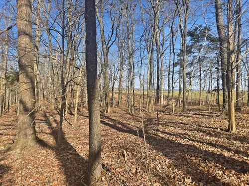 0 Buckeye Rd, Cumberland City, TN, 37050 | Card Image