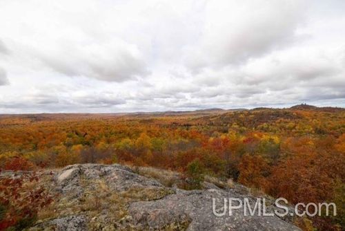TBD Wilson Truck Trail, Big Bay, MI, 49808 | Card Image