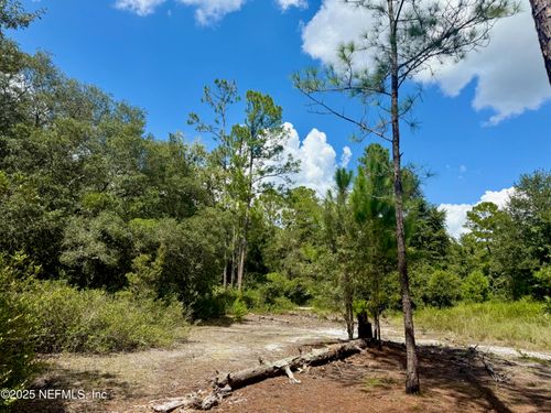 XXX Nettles Rd, Florahome, FL, 32140 | Card Image