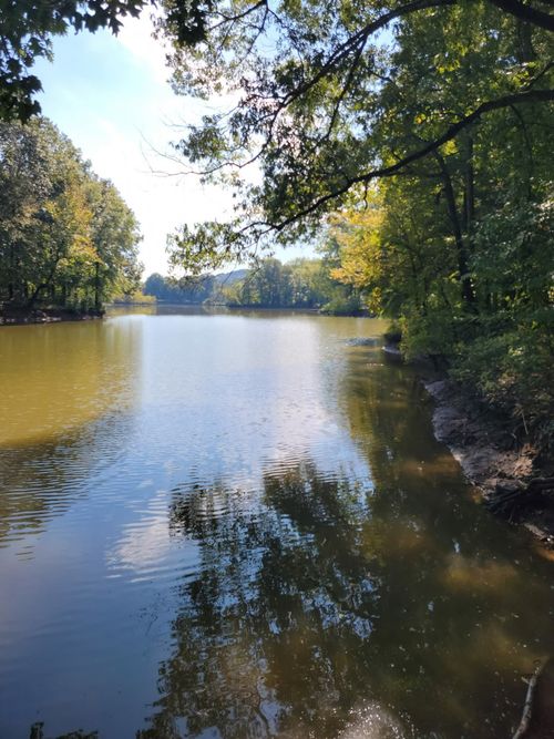 0 Shirley Bates Dr, Clifton, TN, 38425 | Card Image