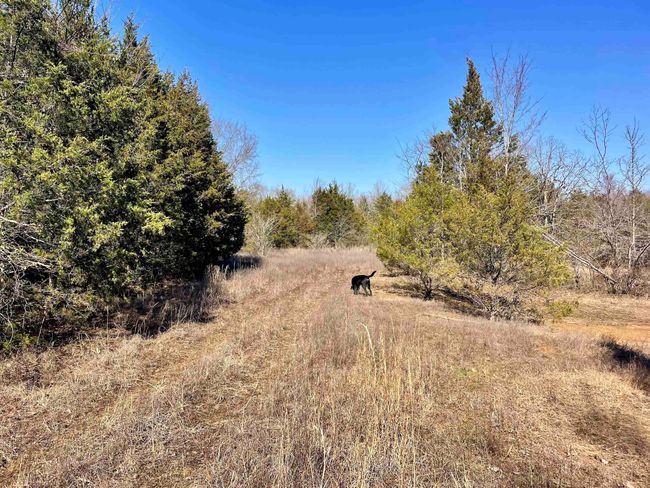 000 Brewer Rd, Home with 0 bedrooms, 0 bathrooms and null parking in Conway AR | Image 27
