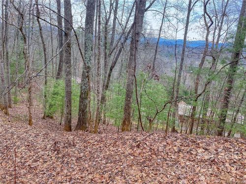 122-00 Indigo Ln, Franklin, NC, 28734 | Card Image