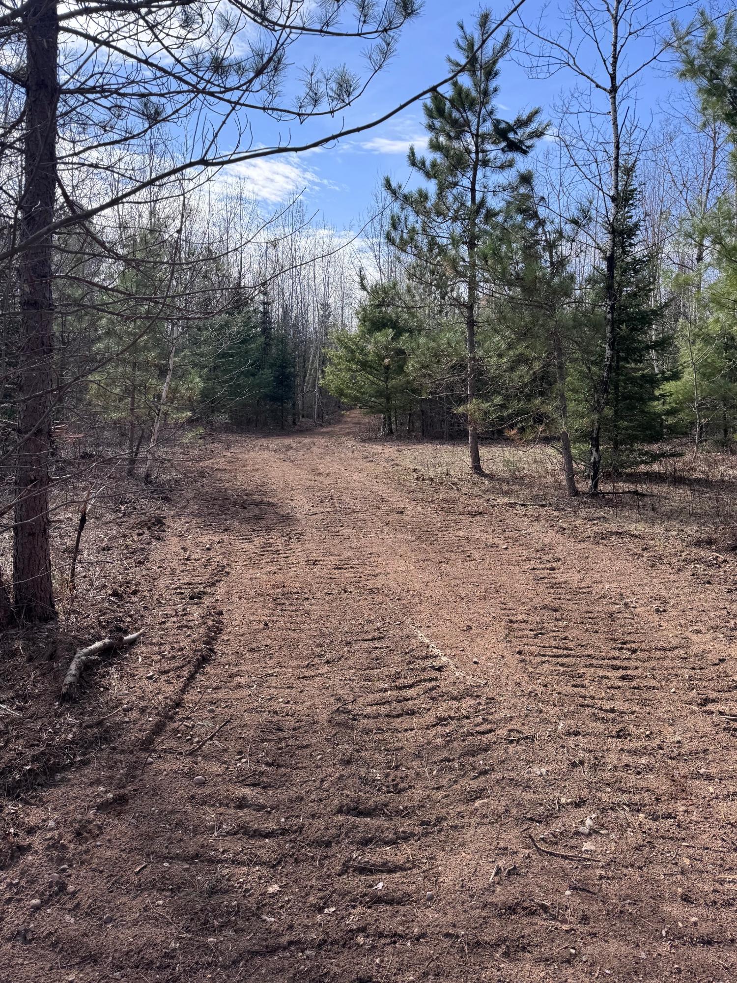 Land in Minocqua 3